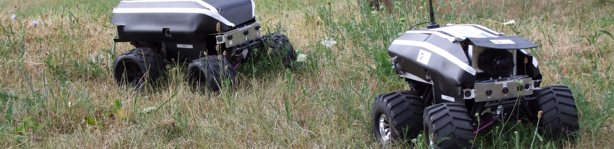 Outdoor MERLIN in action